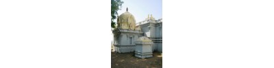 பவழகிரீஸ்வரர் 